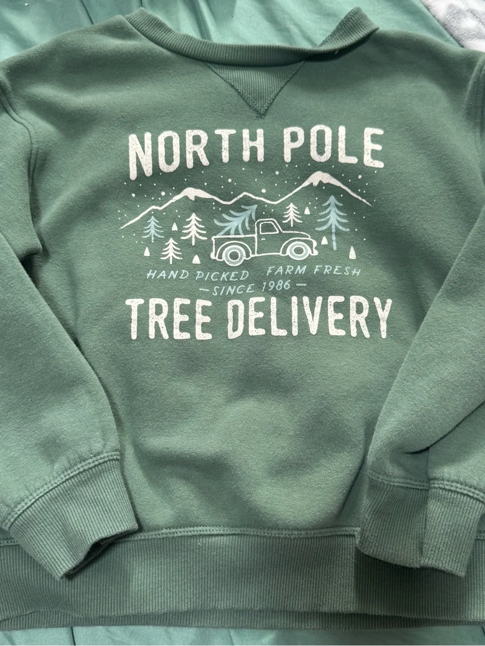 North Pole Tree Delivery Green Kids Sweatshirt